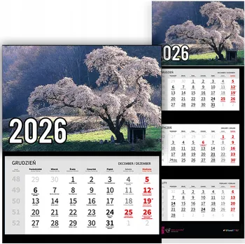 Obraz Trojdílný kalendář na rok 2026 Wiśnie na polanie Premium | mnoho vzorů