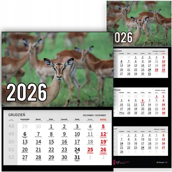 Kalendář Trojdílný kalendář na rok 2026 Gazele w stadzie Premium | mnoho vzorů