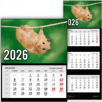 Kalendář Trojdílný kalendář na rok 2026 Chomik na lince Premium | Nástěnný kalendář - různé vzory