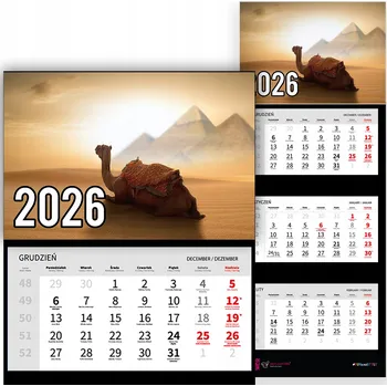 Kalendář Trojdílný kalendář na rok 2026 Wielbład i piramidy Premium | Nástěnný kalendář