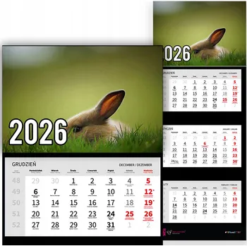 Kalendář Trojdílný kalendář na rok 2026 Królik w trawie Premium | Nástěnný kalendář s motivy