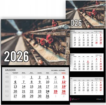 Kalendář Trojdílný kalendář na rok 2026 Kury w kurniku Premium | Nástěnný kalendář - různé vzory