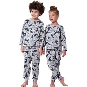 Chlapecké pyžamo Chlapecké pyžamo Dino, dlouhé kalhoty, dlouhý rukáv - modro-šedá | Winkiki Kids Wear Velikost: 116