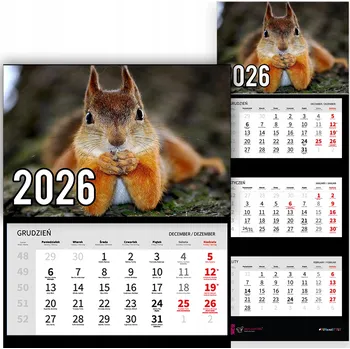 Kalendář Trojdílný kalendář na rok 2026 Wiewiórka na drzewie Premium | Nástěnný kalendář