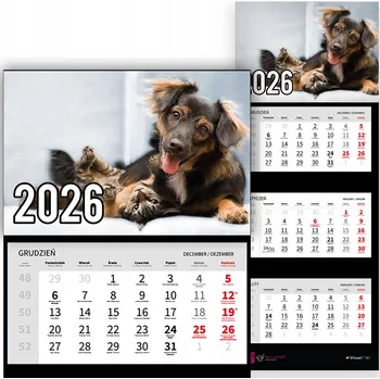 Kalendář Trojdílný kalendář na rok 2026 Zabawa razem Premium | Nástěnný kalendář - různé vzory