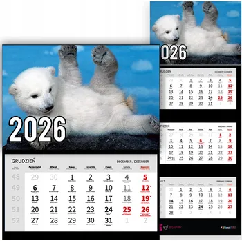 Kalendář Trojdílný kalendář na rok 2026 Mały niedźwiadek Premium | mnoho vzorů