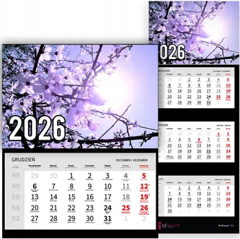 Kalendář Trojdílný kalendář na rok 2026 Wiśnie w świetle słonecznym Premium | Vzory