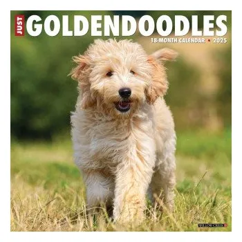 Kalendář Goldendoodles 2026 12 X 12 Wall Calendar (EN)
