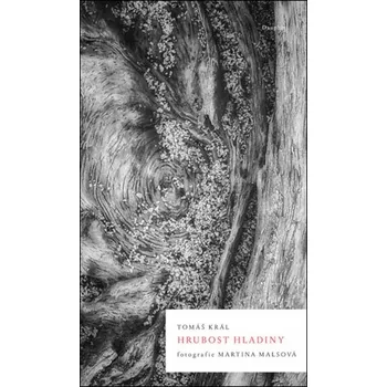 Umění Hrubost Hladiny Tomáš Král