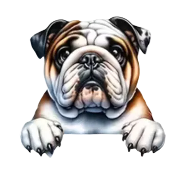 Nášivka Nažehlovací obrázek - pohled štěněte XI (11,0 x 10,5 cm)