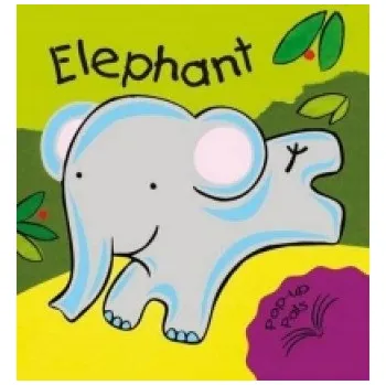 Umění Elephant - Pop Up Book Fiona Hayes