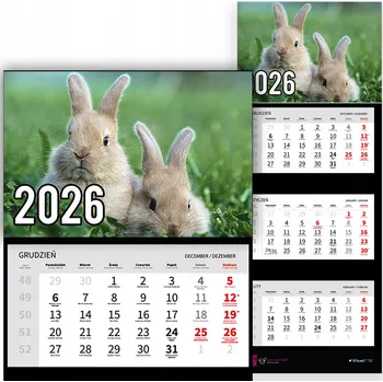 Kalendář Trojdílný kalendář na rok 2026 Króliczki na trawie Premium | Nástěnný