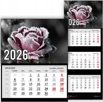Kalendář Trojdílný kalendář na rok 2026 Zimowa róża Premium | Nástěnný kalendář s motivy