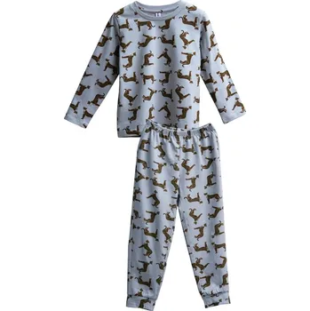 Dívčí pyžamo Dívčí i chlapecké pyžamo Gepard, dlouhé kalhoty, dlouhý rukáv - šedo-modrá | Winkiki Kids Wear Velikost: 122