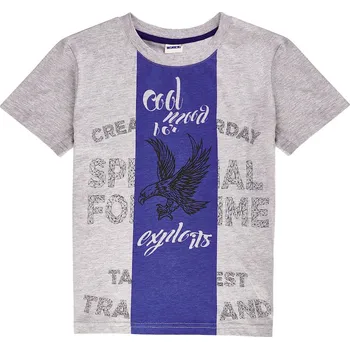 Chlapecké tričko Winkiki Kids Wear Chlapecké tričko Cool Mind - šedý melanž Velikost: 158