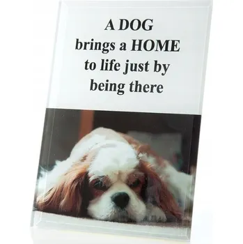 Obraz Jednoduchý Rámeček Eurofirany 18 x 12 cm