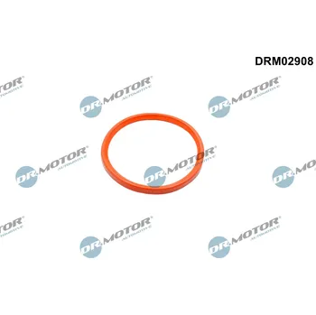 Příslušenství pro turbodmychadlo Těsnicí kroužek, hadice plnicího vzduchu Dr.Motor Automotive DRM02908