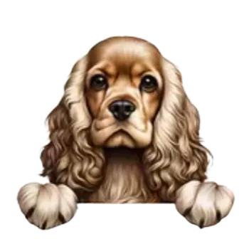 Nášivka Nažehlovací obrázek - pohled štěněte II (11,0 x 10,0 cm)