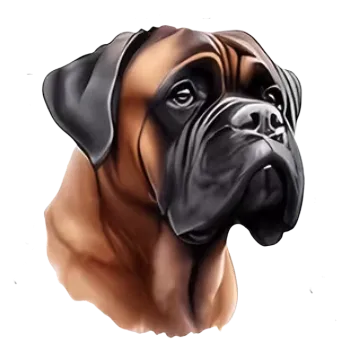 Nažehlovací obrázek - psí pohled V (16,7 x 19,8 cm)