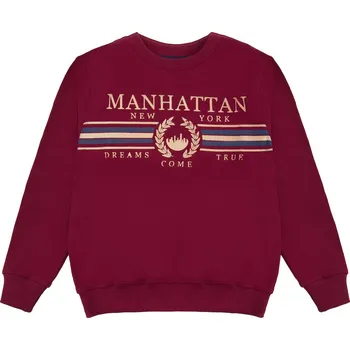 Chlapecká mikina Winkiki Kids Wear Chlapecká mikina Manhattan - bordo Velikost: 146