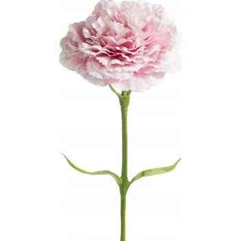 Obraz KVĚT NATU 193 FI 9 X 40 CM RŮŽOVÝ