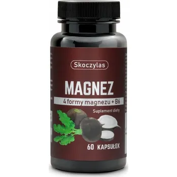 Doplněk stravy Skoczylas Hořčík s vitamínem B6 a černou ředkví 60 kapslí.