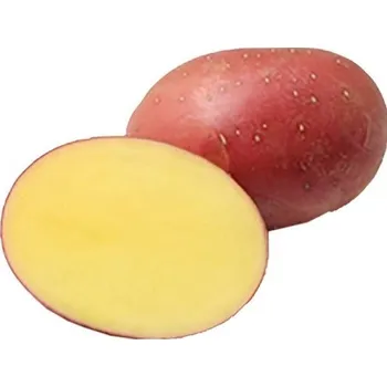 Sazenice Sadba brambor Red Sonia 5 kg
