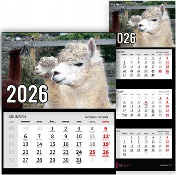 Kalendář Trojdílný kalendář na rok 2026 Lama na farmie Premium | Nástěnný kalendář s motivy