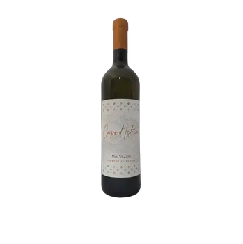 Víno Capo d´Istria Malvazija 2022 (suché bílé víno)