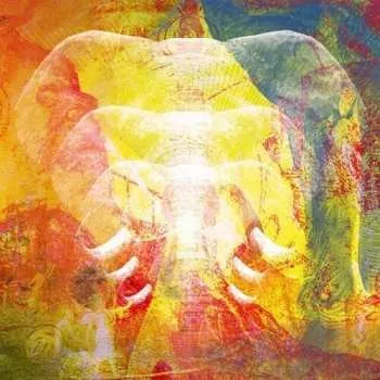 Zahraniční hudba CD Join The Din: Elephants In Autumn Rage 2022