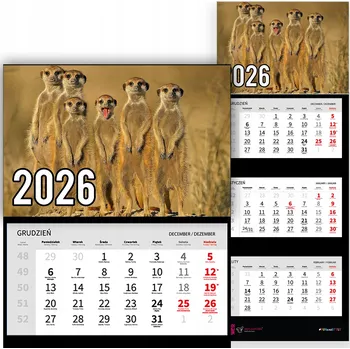Kalendář Trojdílný kalendář na rok 2026 Surykatki na sawannie Premium | Nástěnný kalendář