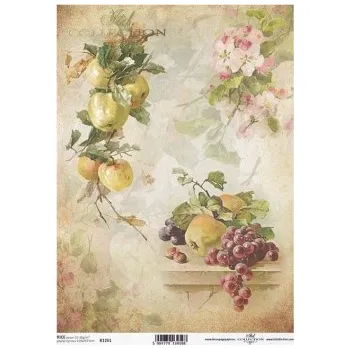 Výtvárné potřeby Rýžový papír na decoupage ITD - Ovoce, květy - R1261