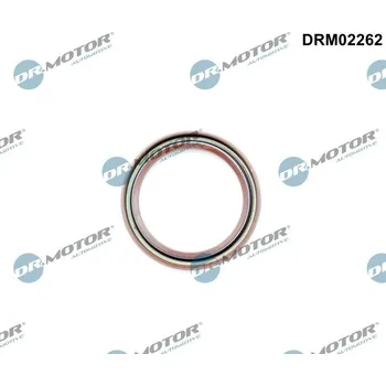 Těsnění motoru Těsnicí kroužek hřídele, klikový hřídel DR.MOTOR DRM02262