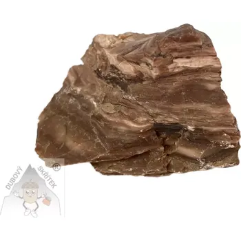 Opál dřevitý (2)– přírodní minerál se strukturou zkamenělého dřeva