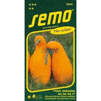 Semeno Tykev okrasná Ga Ga Ga F1 (zahnutý krk) 12/2027