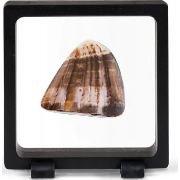 Obal pro sběratelský předmět MAGIC FRAME 90 Sběratelský Rámeček Leuchtturm