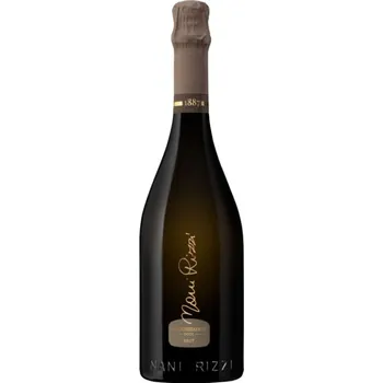 Nani Rizzi Prosecco Valdobbiadene Spumante DOCG Brut 1,5 l