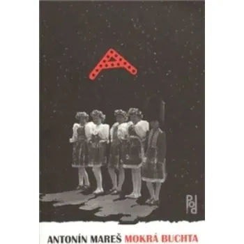 Umění Mokrá buchta Antonín Mareš