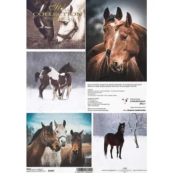 Umělecký papír Rýžový papír na decoupage ITD - Koně - R1967