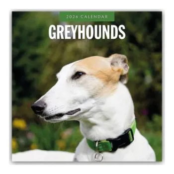 Diář Greyhound - Windhund 2026 - 16-Monatskalender (EN)