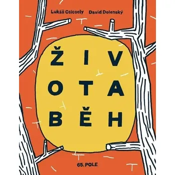 Životaběh Lukáš Csicsely,David Dolenský