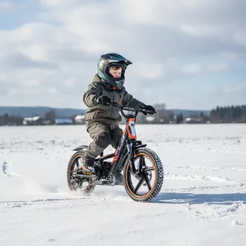 malá motorka Leramotors E-bike - elektrická motorka/odrážedlo Leramotors by APOLLO RFZ Sedna 16 PRO - oranžová