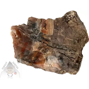 Opál dřevitý (1) – přírodní minerál se strukturou zkamenělého dřeva