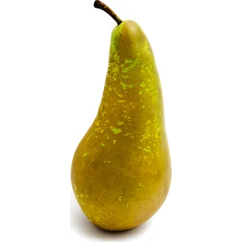 Ovoce Hruška zelená Konference, cca 120g