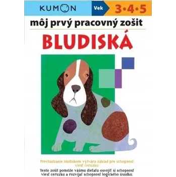 Môj prvý pracovný zošit Bludiská Giovanni K. Moto,Toshihiko Karakida,Yoshiko Muraka