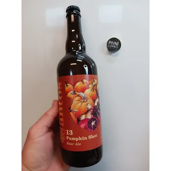 Pivo Antoš Pumpkin Shot 13°/5,3% 0,7l
