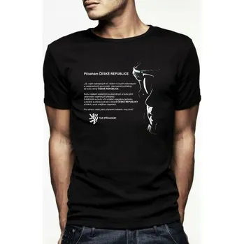 Pánská móda Pánské tričko s kulatý výstřihem STRIKER, velikost L