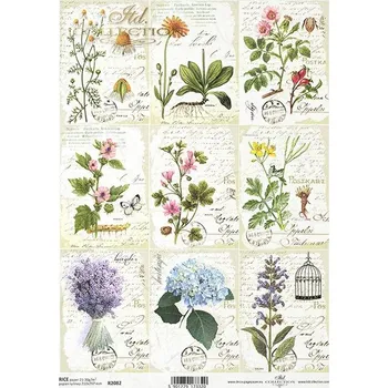 Umělecký papír Rýžový papír na decoupage ITD - Bylinky, herbář, malé motivy - R2082