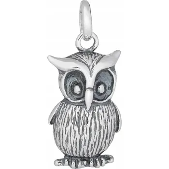 Přívěsek Stříbrný oxidovaný přívěsek ve tvaru sovy