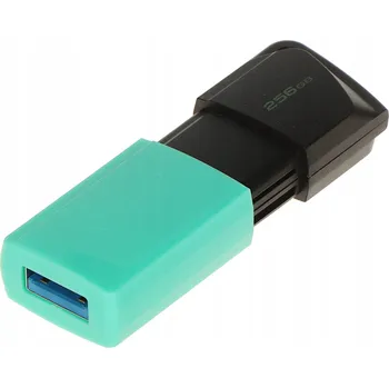 USB flash disk Flash disk Kingston DataTraveler Exodia M, 256 GB (DTXM/256GB)